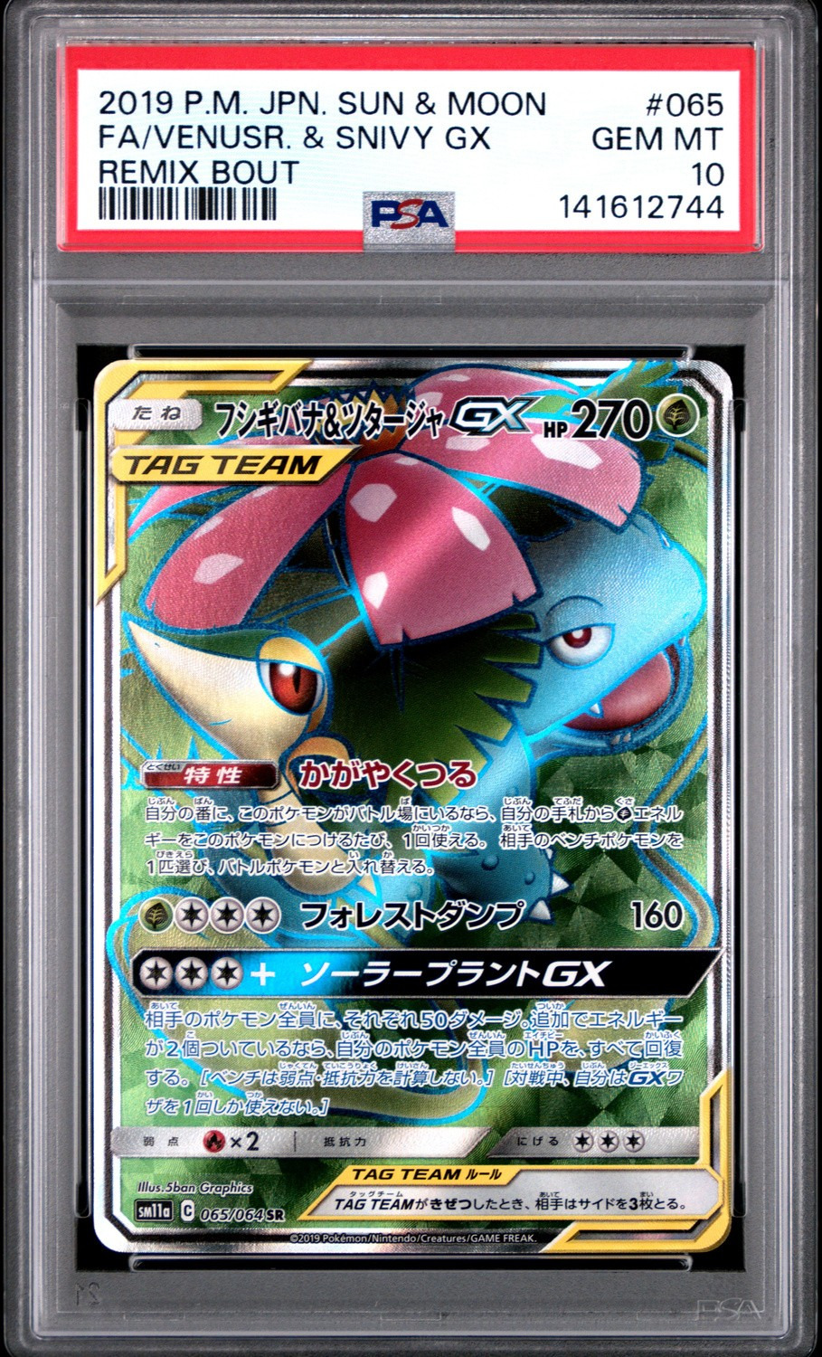 Venusaur & Snivy GX