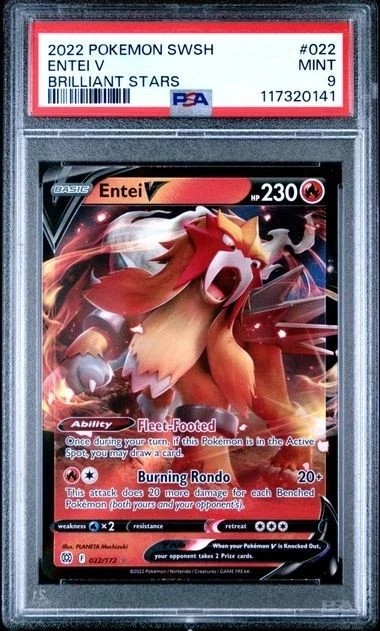 Entei V