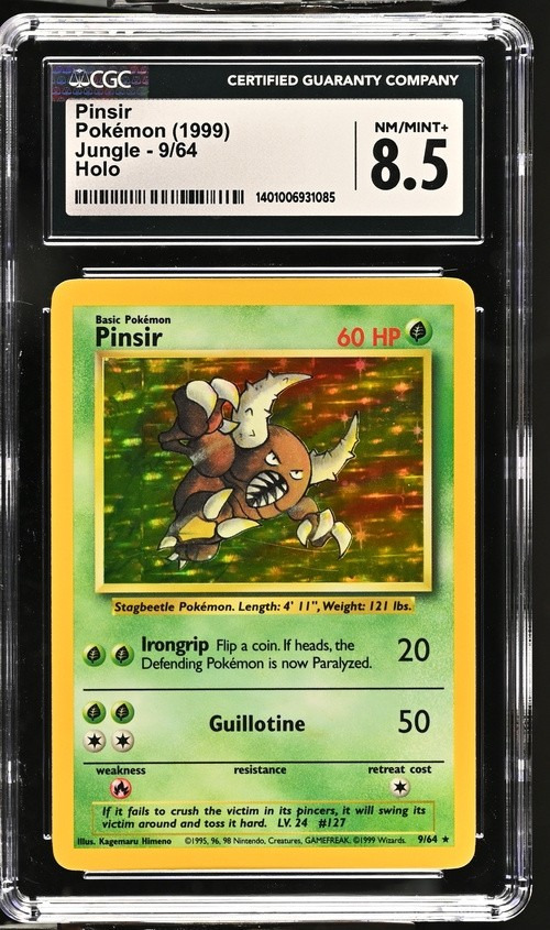 PINSIR