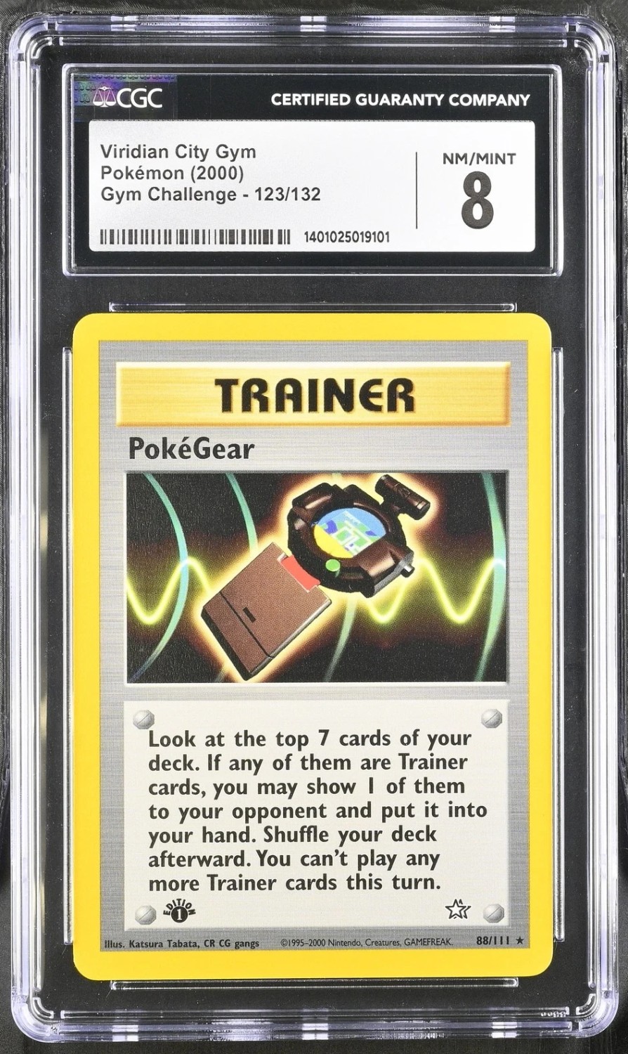 VIRIDIAN CITY GYM
