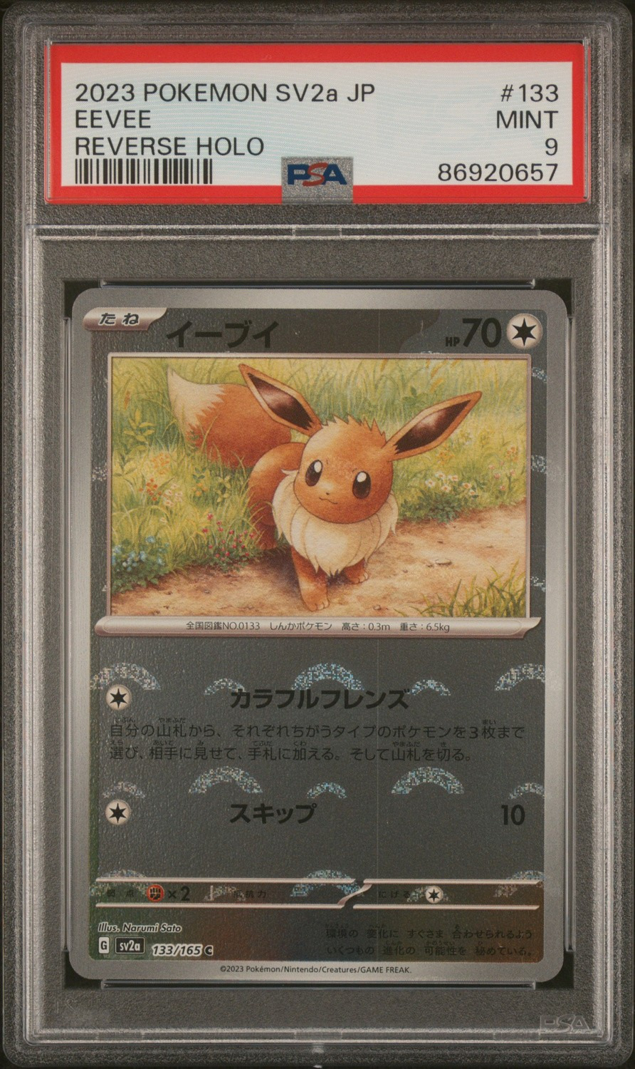 EEVEE