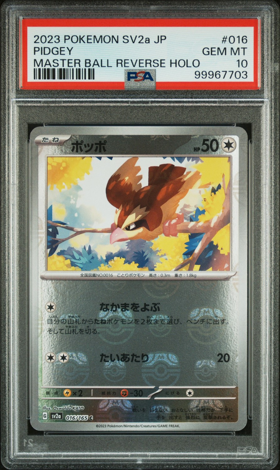 Pidgey