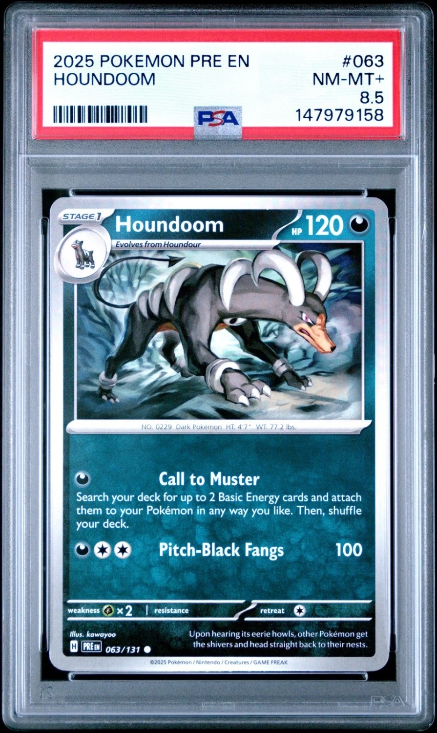 HOUNDOOM