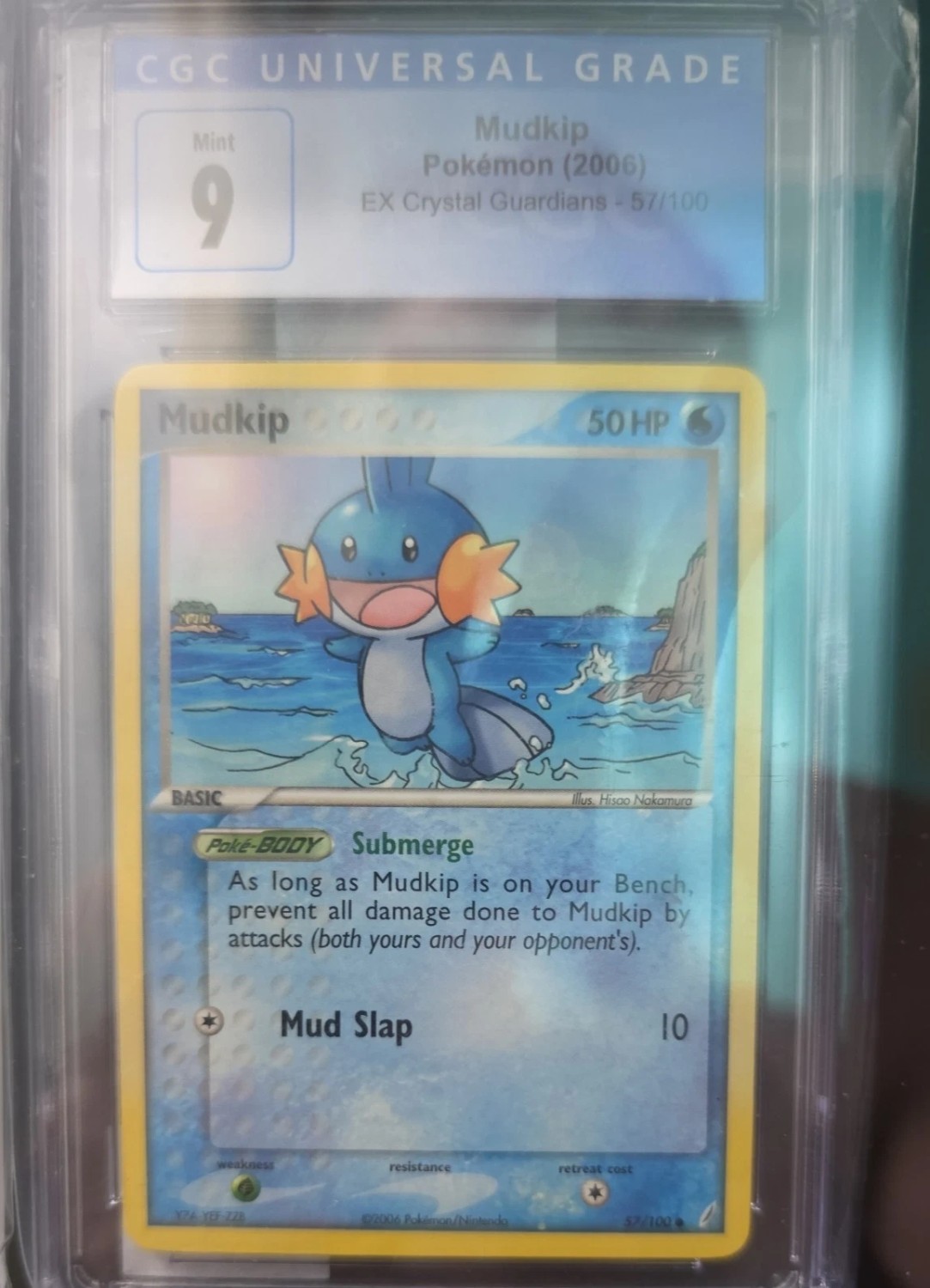 MUDKIP