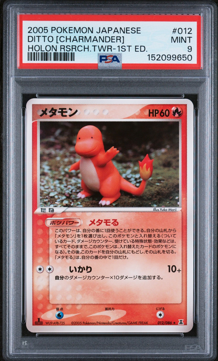 Ditto [Charmander]