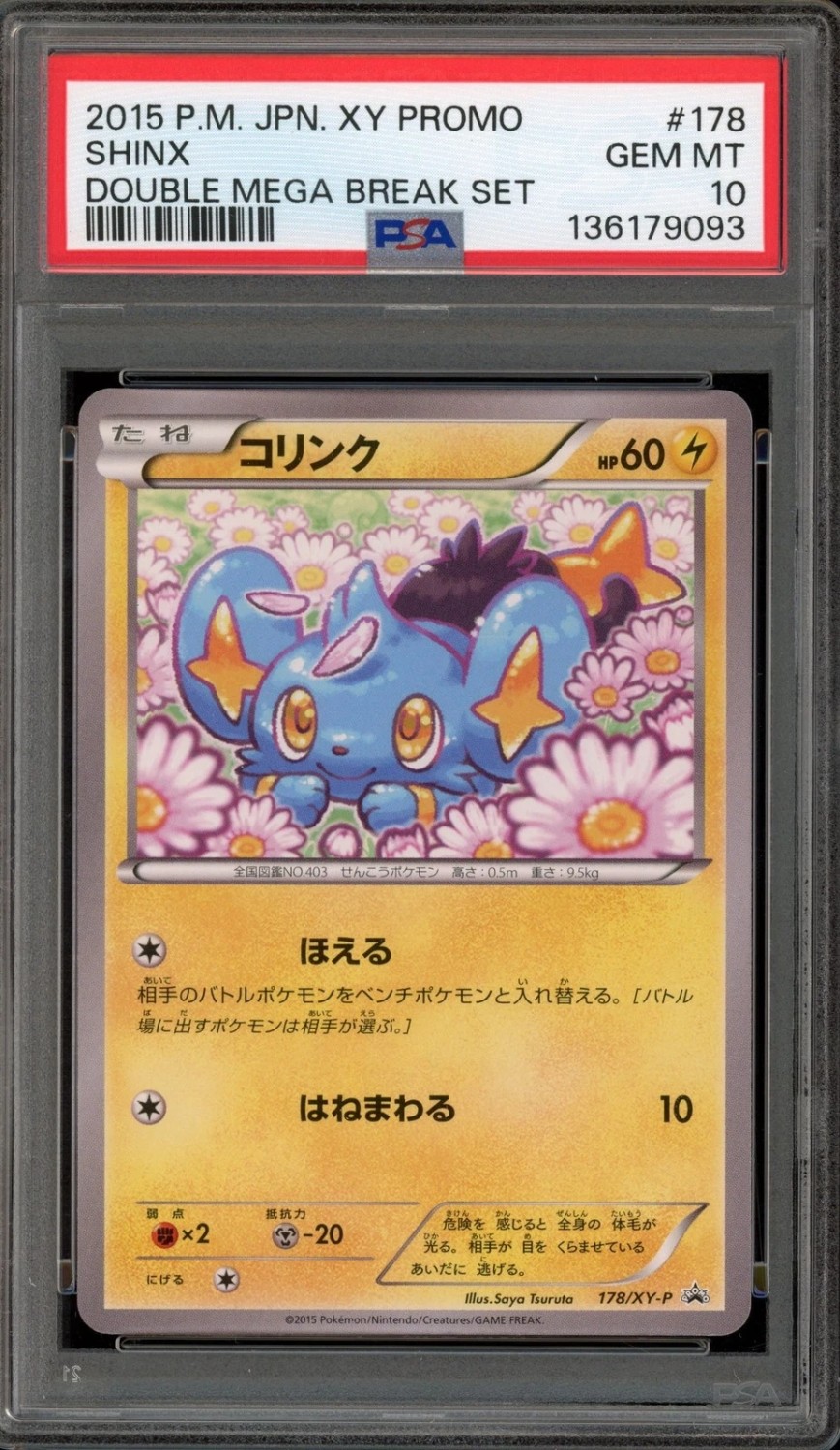 Shinx
