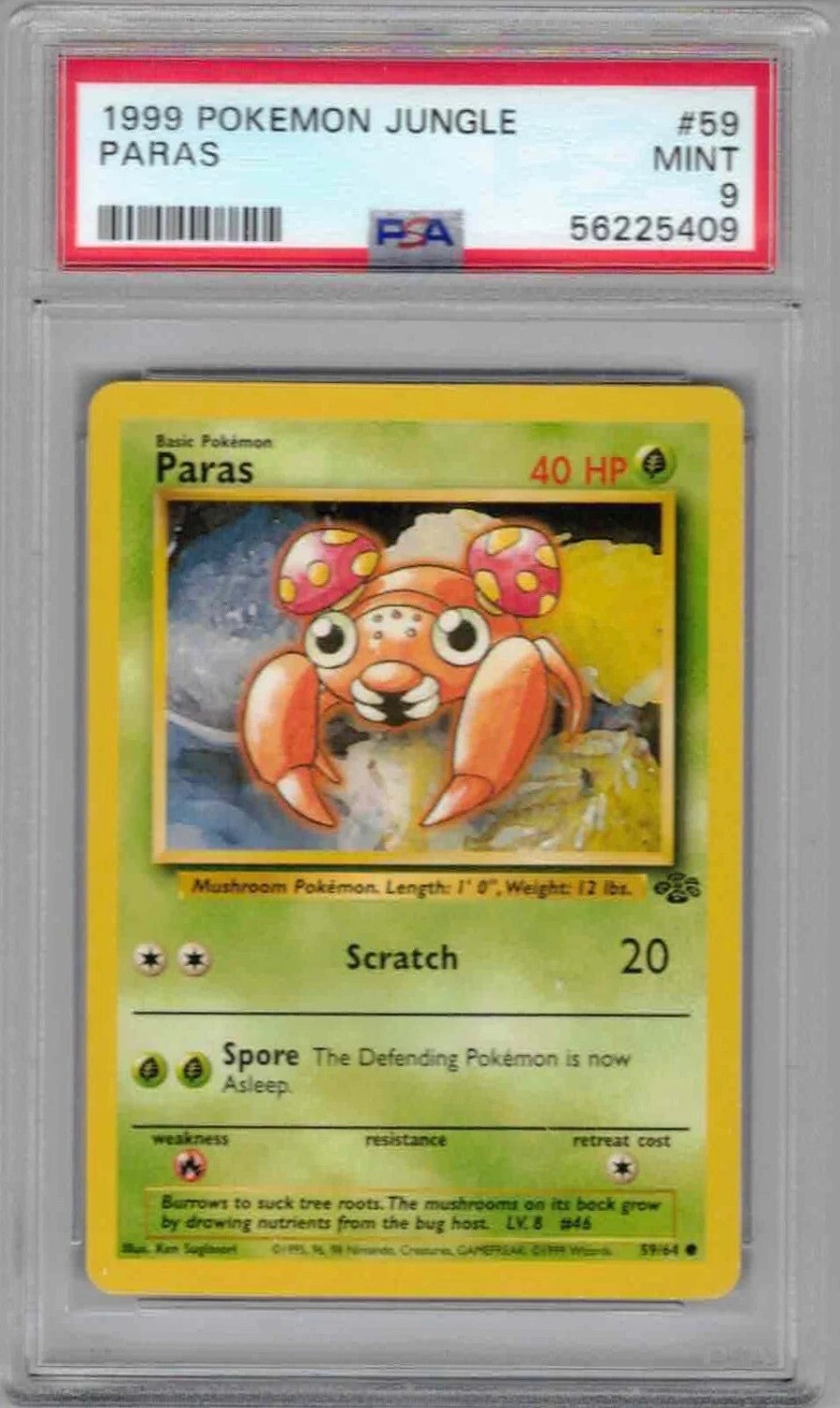 PARAS