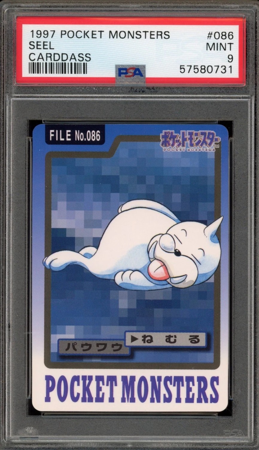 Seel