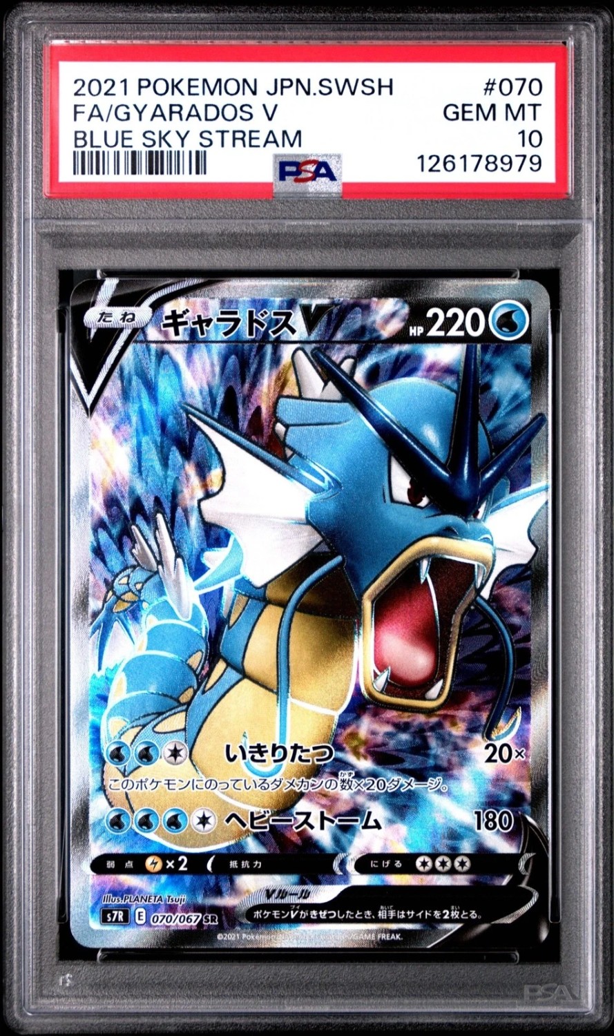 Gyarados V
