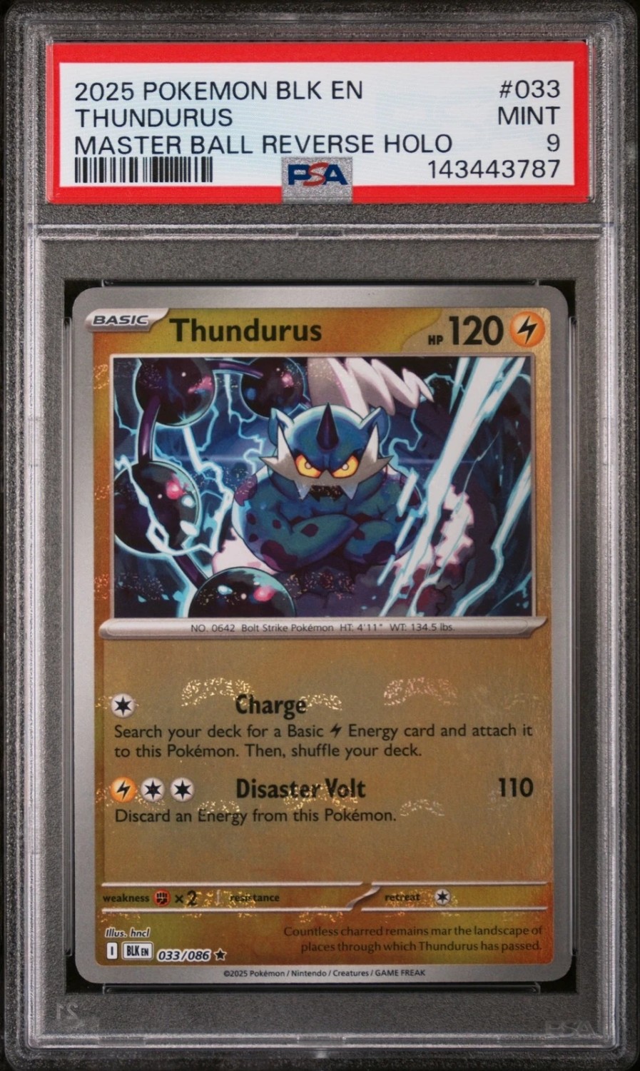 Thundurus