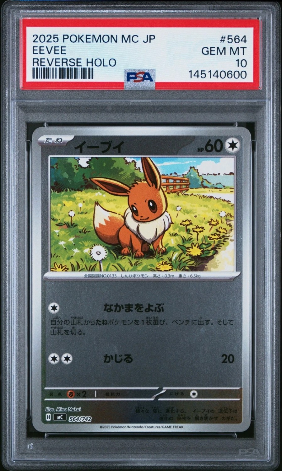 Eevee