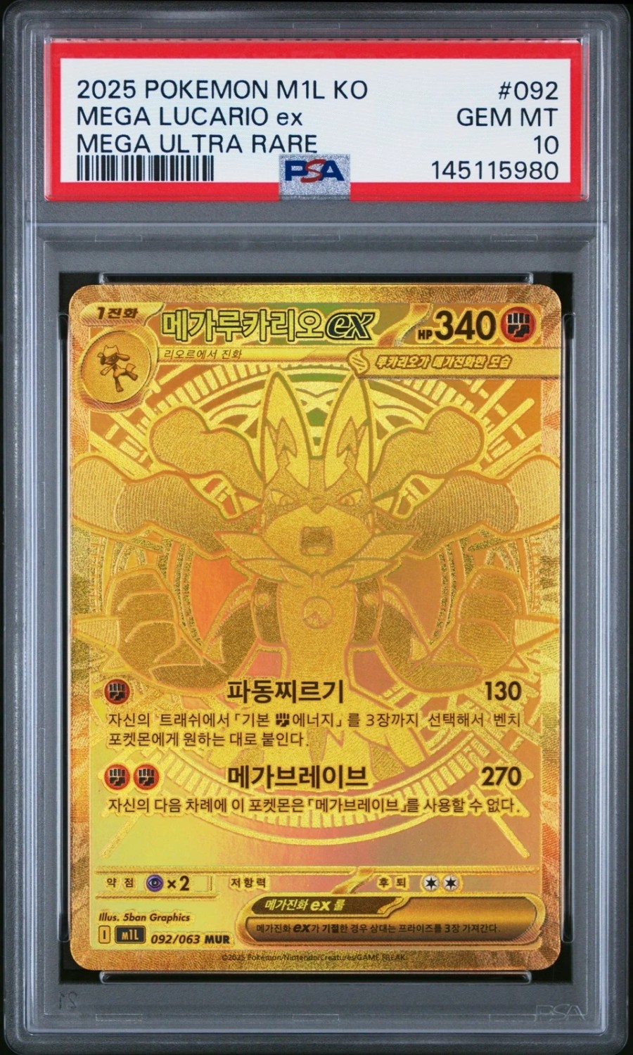 MEGA LUCARIO ex