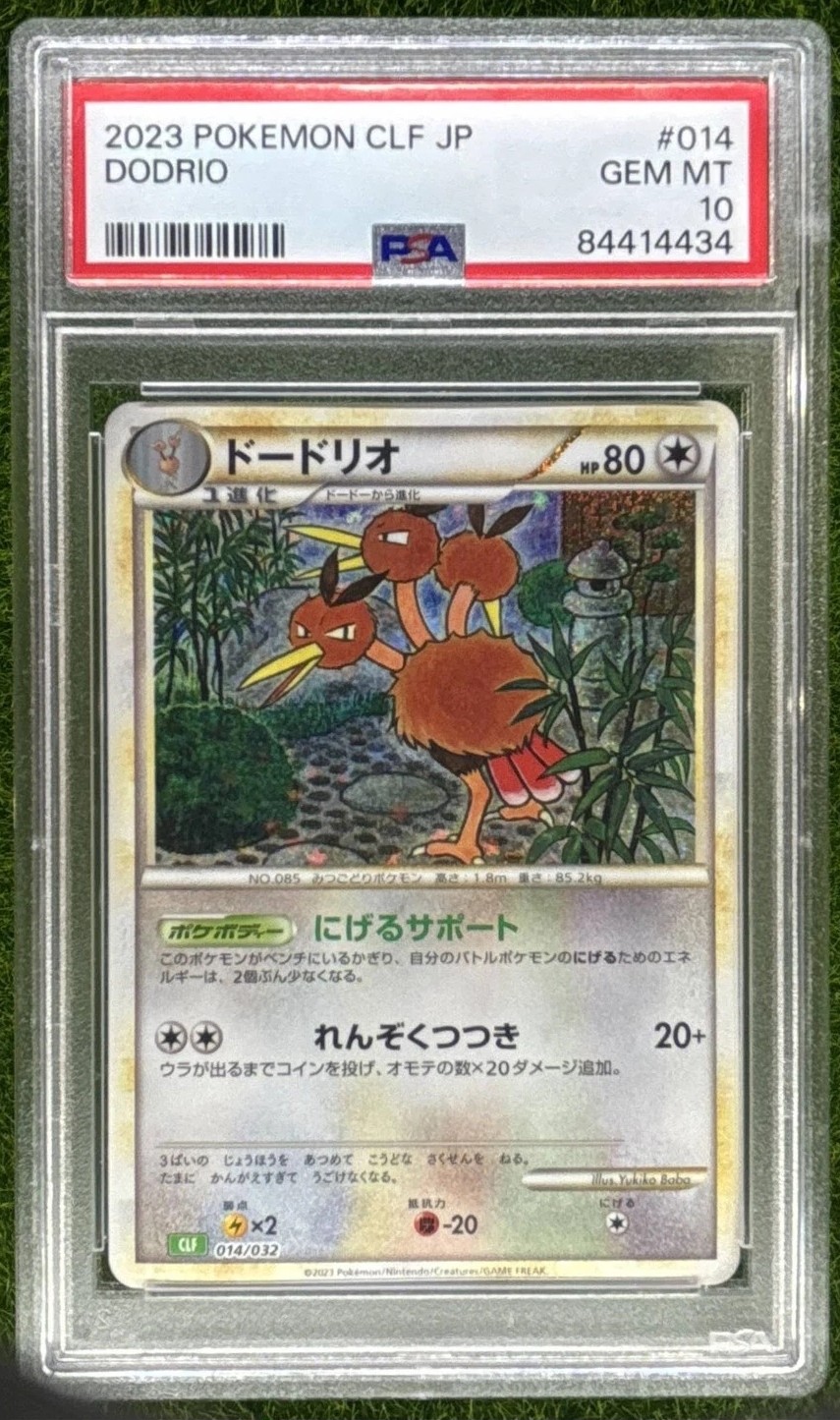 Dodrio