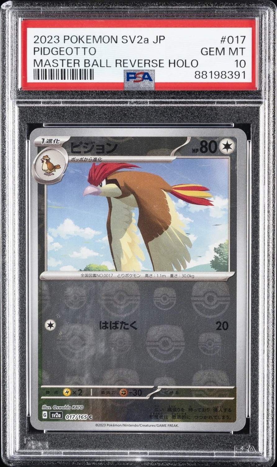Pidgeotto