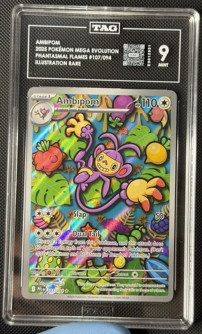 AMBIPOM