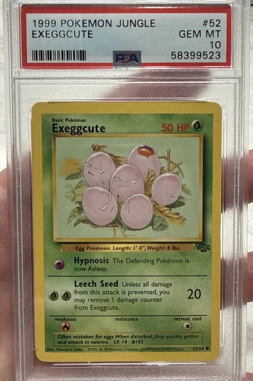 Exeggcute