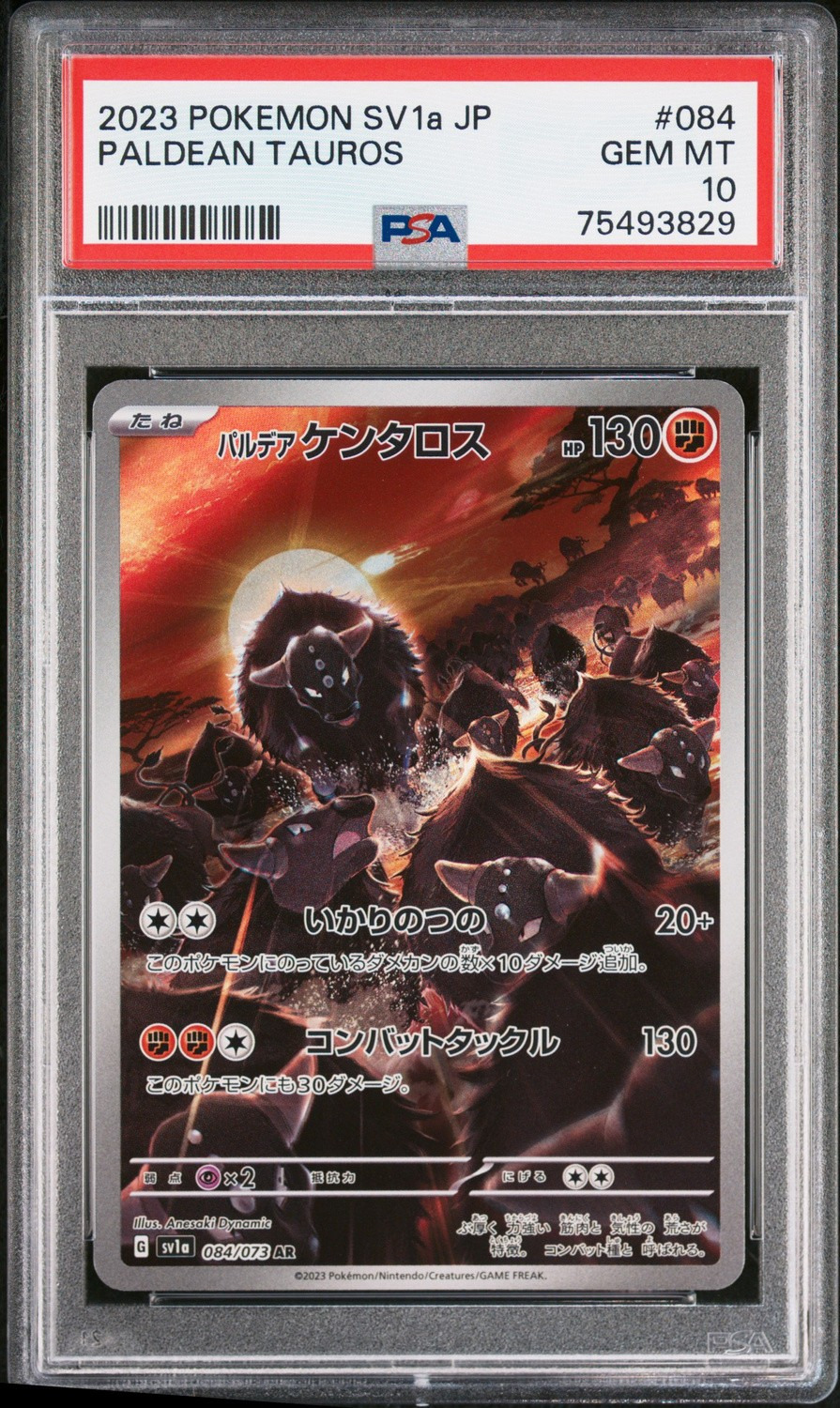 Paldean Tauros