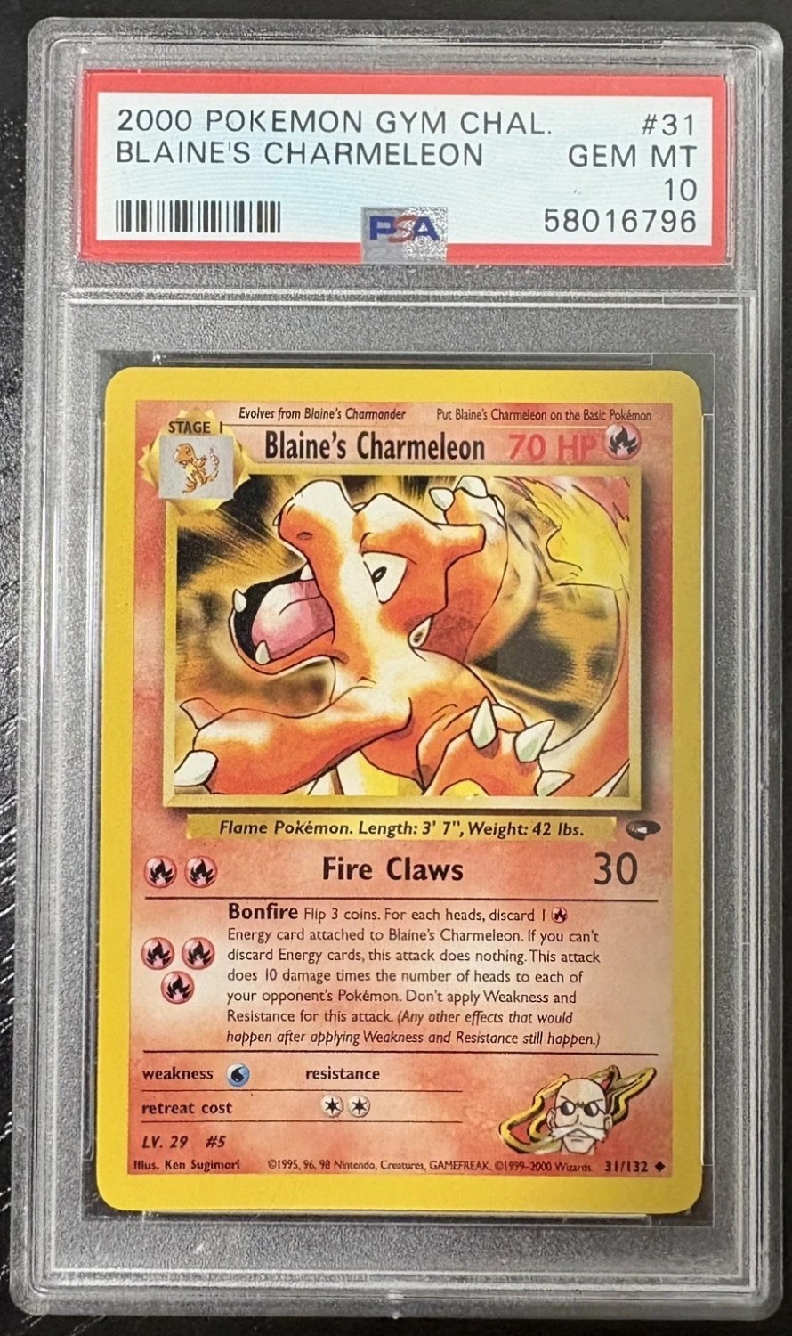 BLAINE'S CHARMELEON