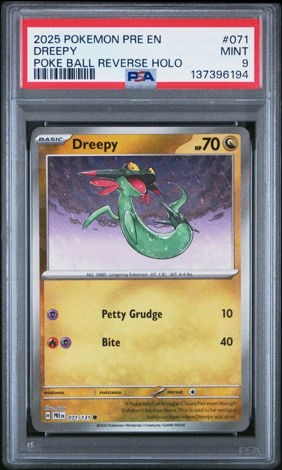 DREEPY