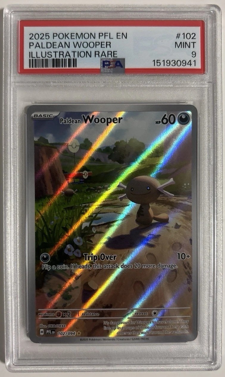 PALDEAN WOOPER
