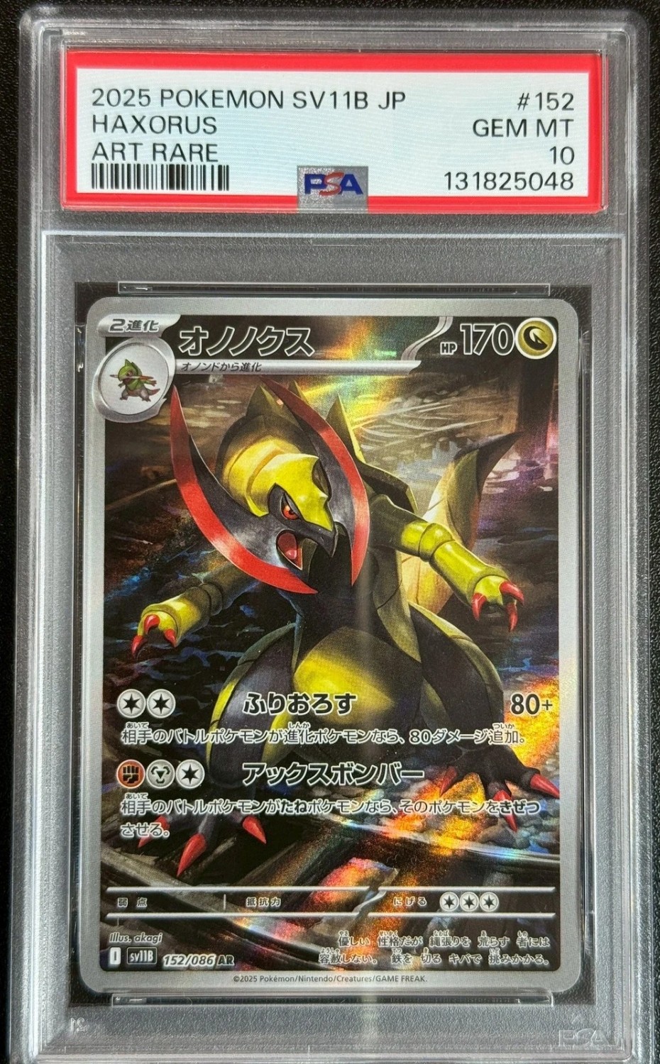 Haxorus