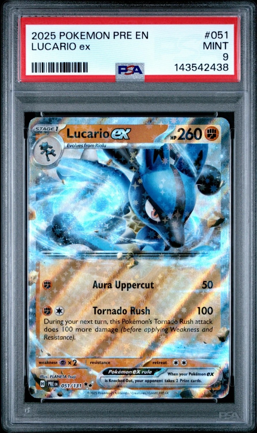 LUCARIO ex