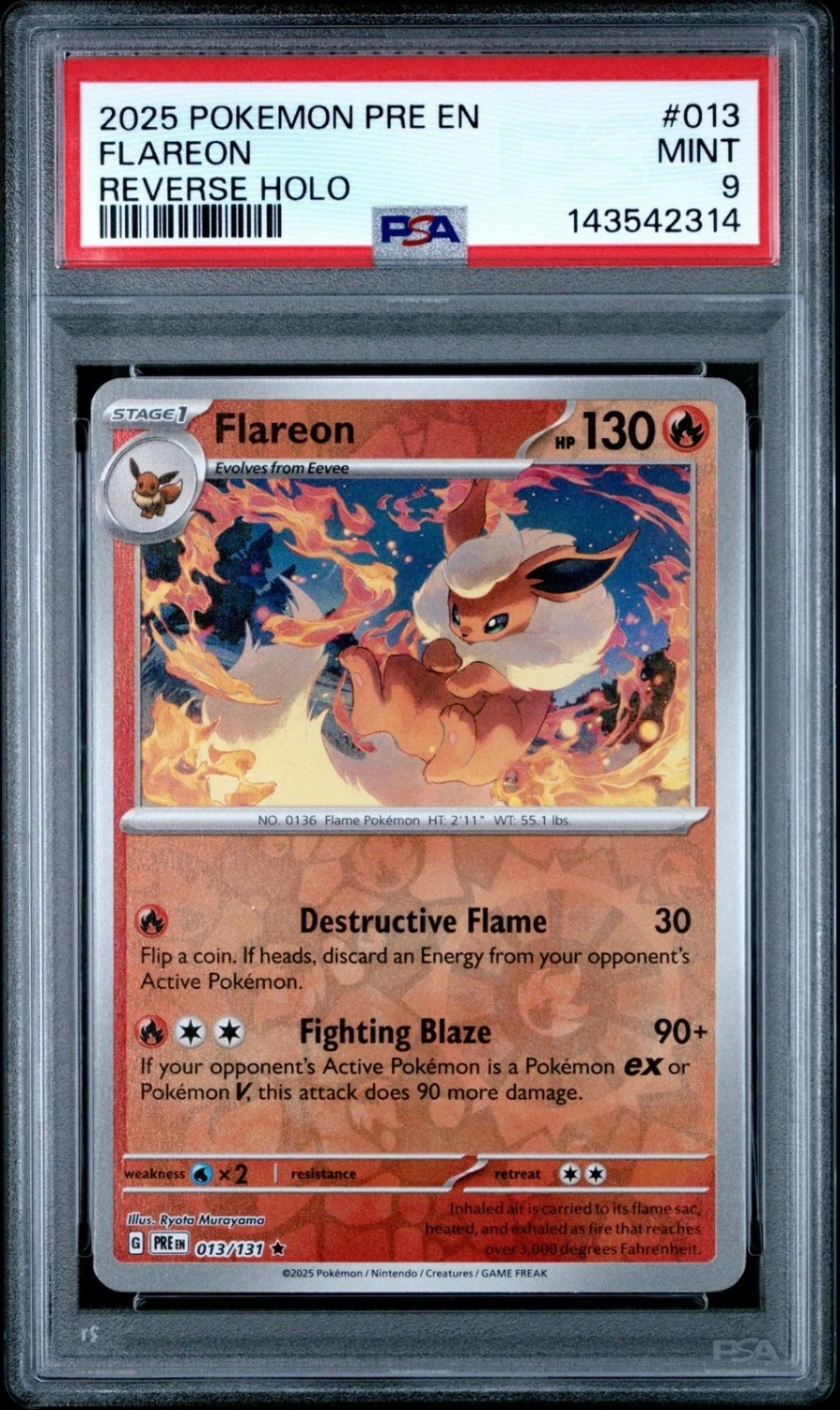 Reverse Holo