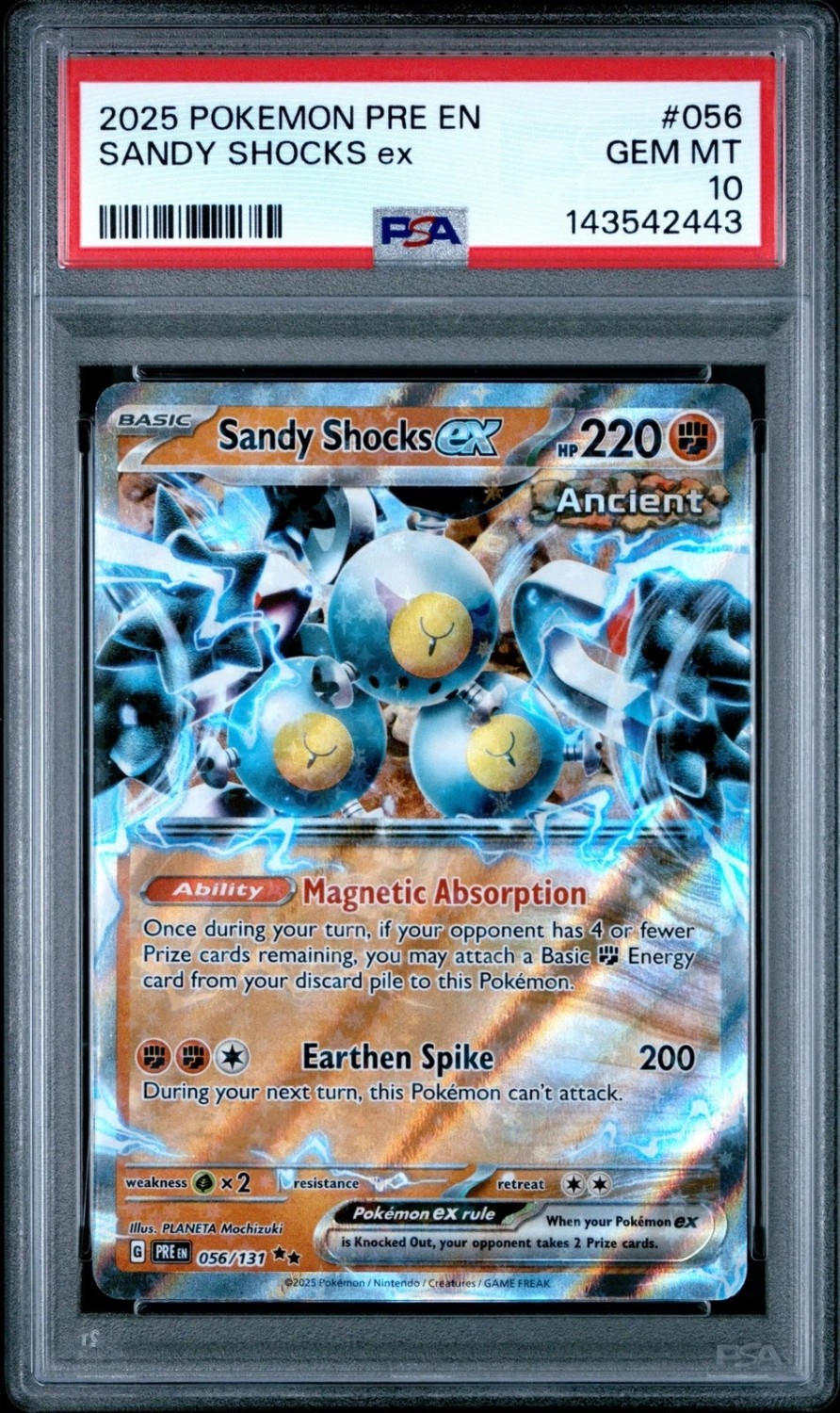 SANDY SHOCKS ex