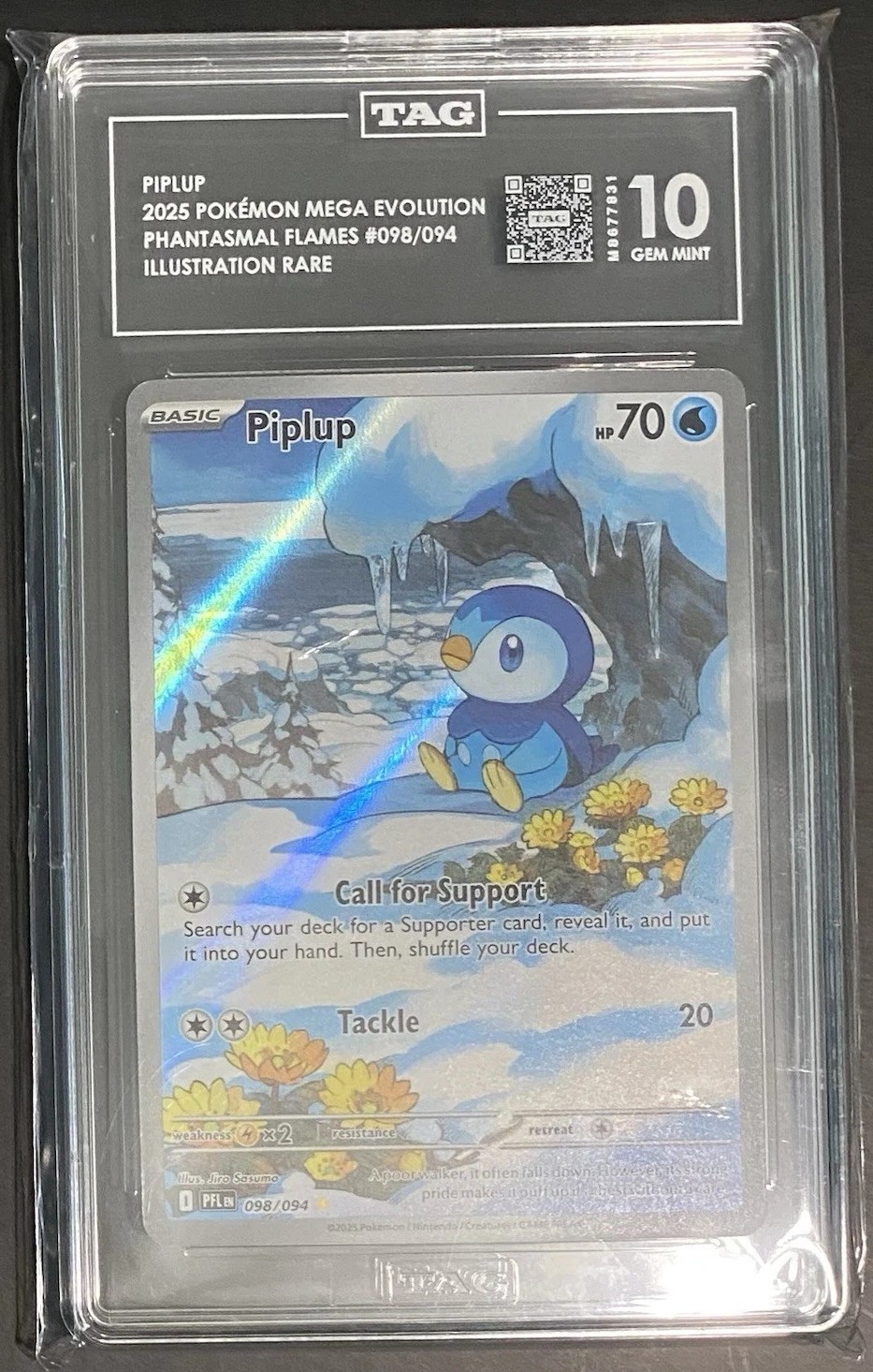 PIPLUP