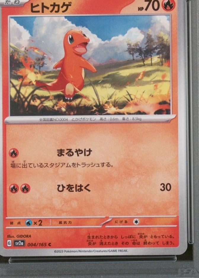 Holo
