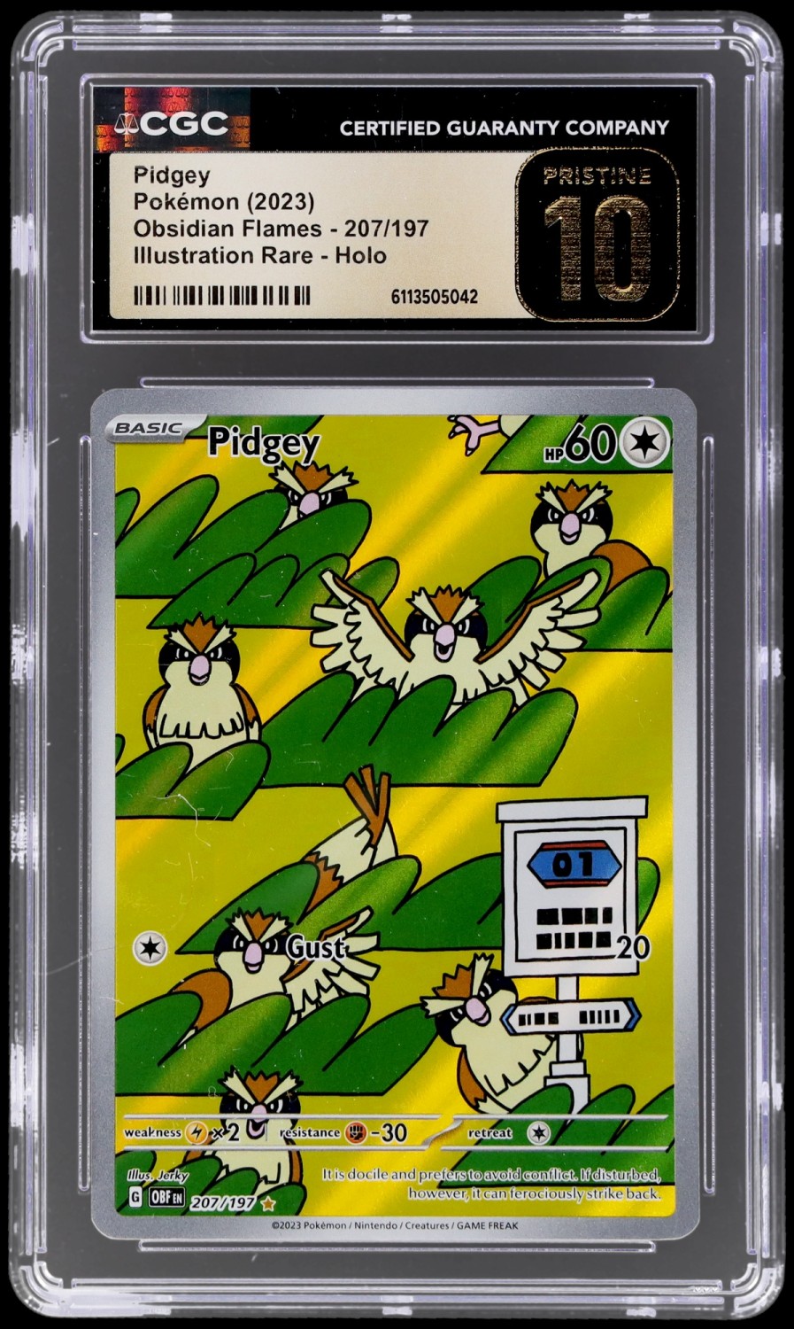 PIDGEY