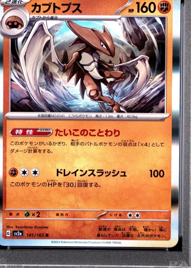 Holo