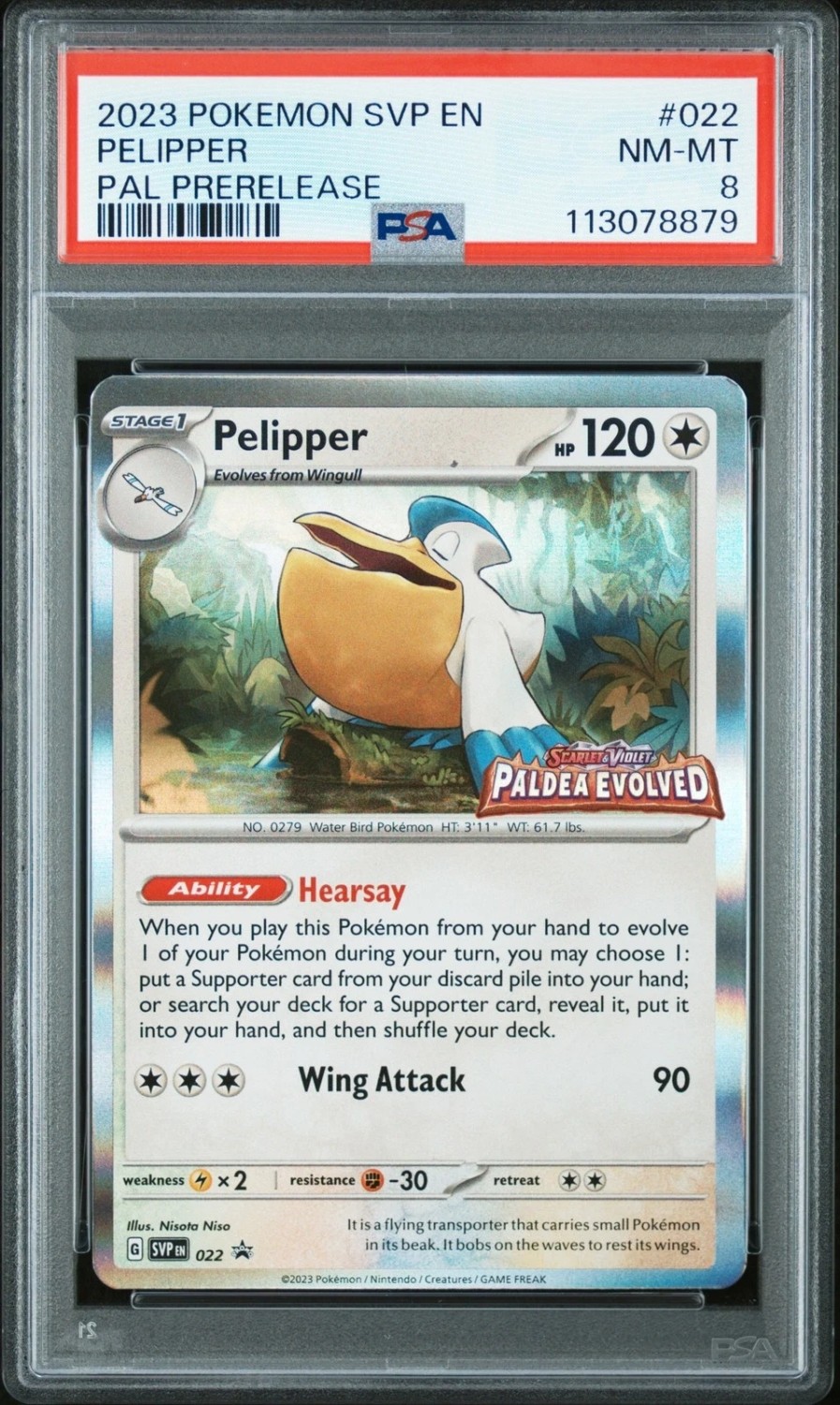 Pelipper