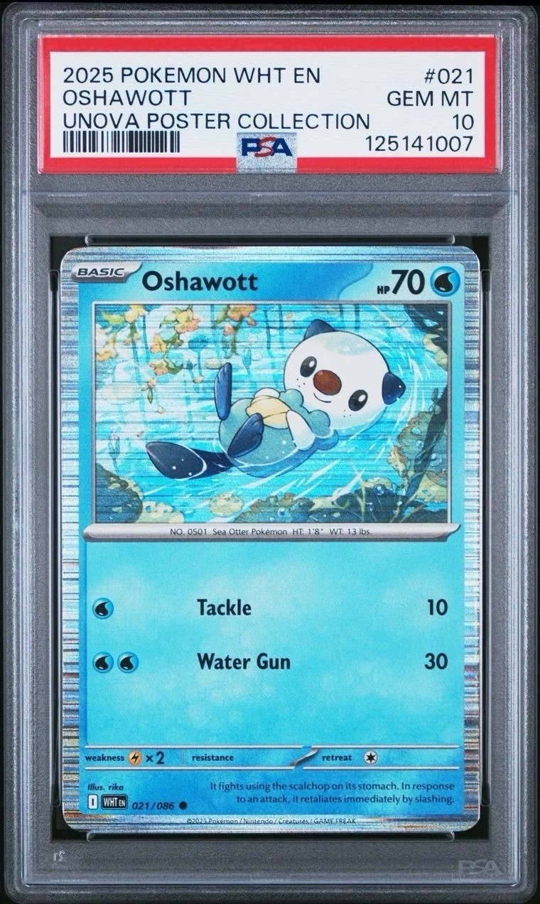 Oshawott