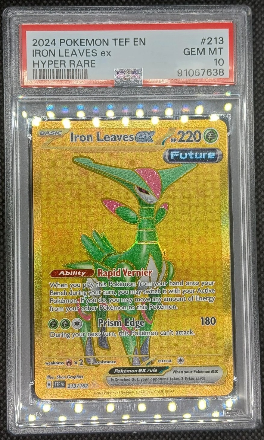 IRON LEAVES ex