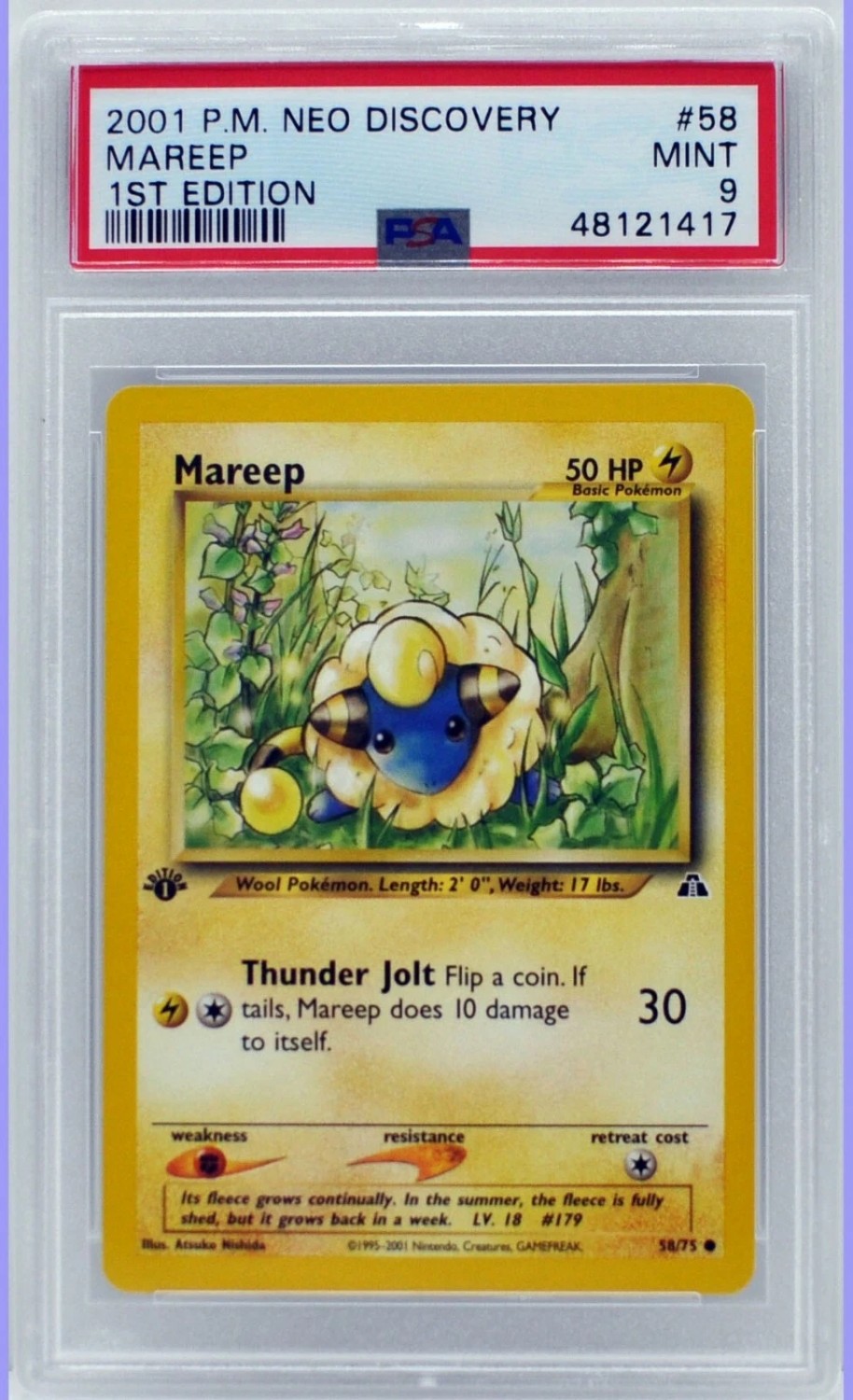 Mareep