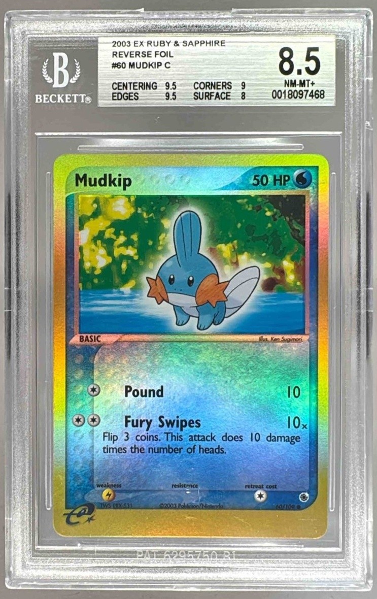 Mudkip