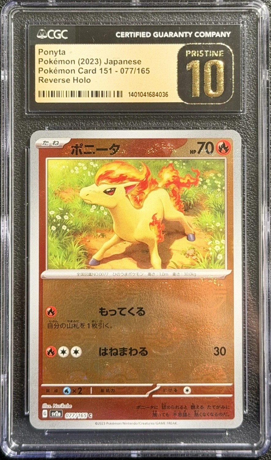 Ponyta
