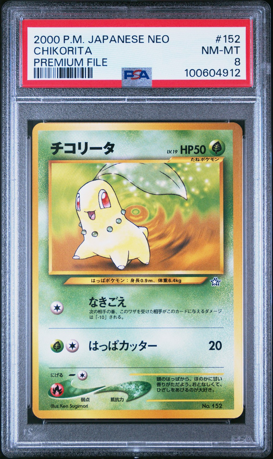 Chikorita
