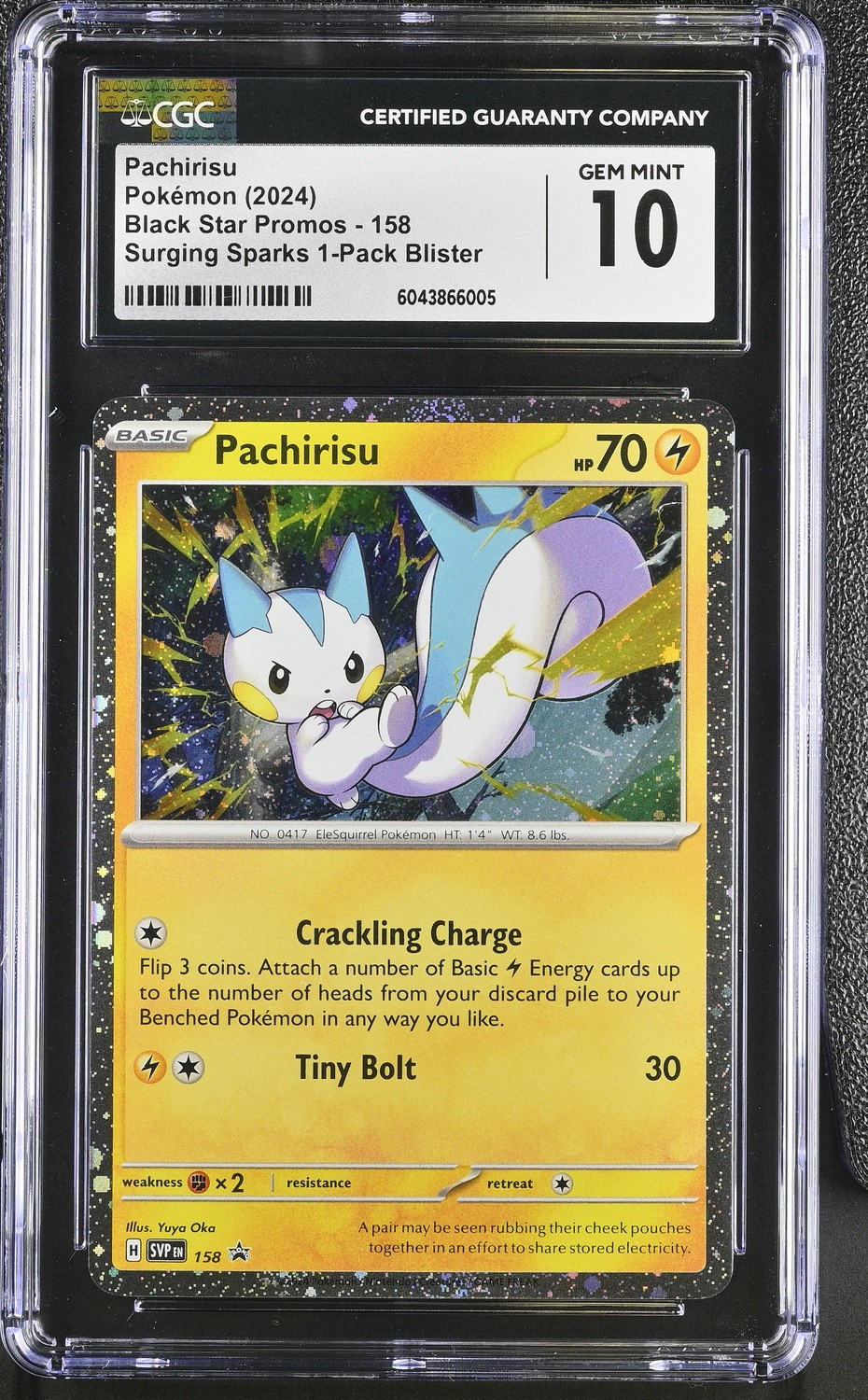 Pachirisu