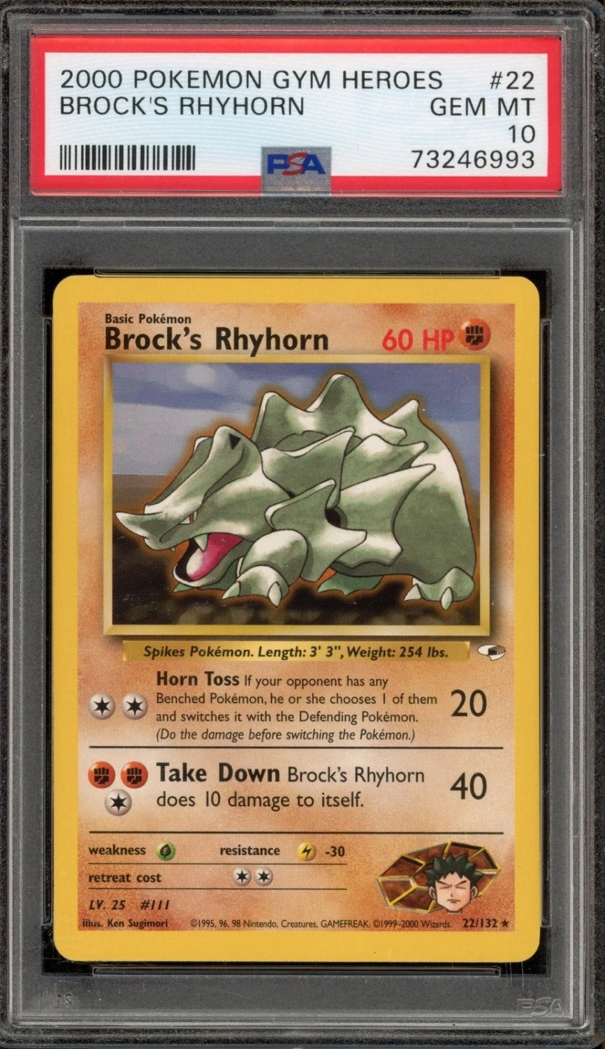 Brock's Rhyhorn