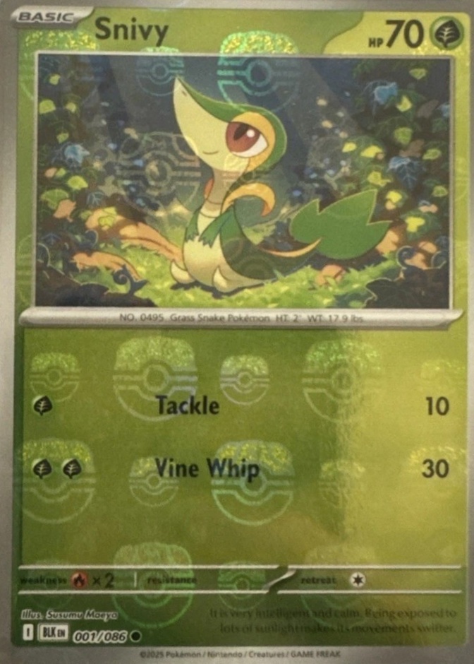 Master Ball · Reverse Holo