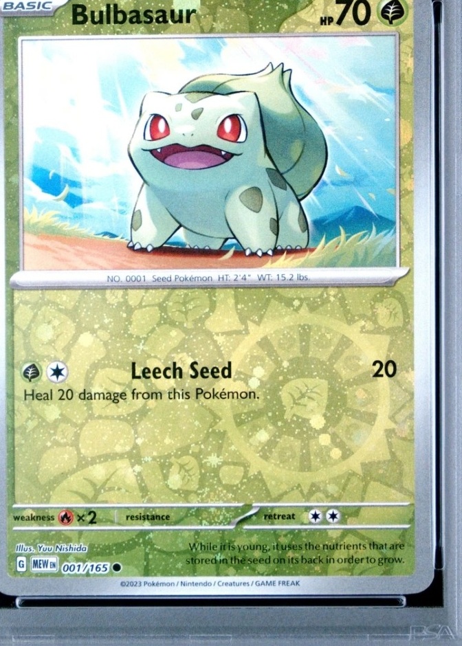 Holo · Mini Pack 5