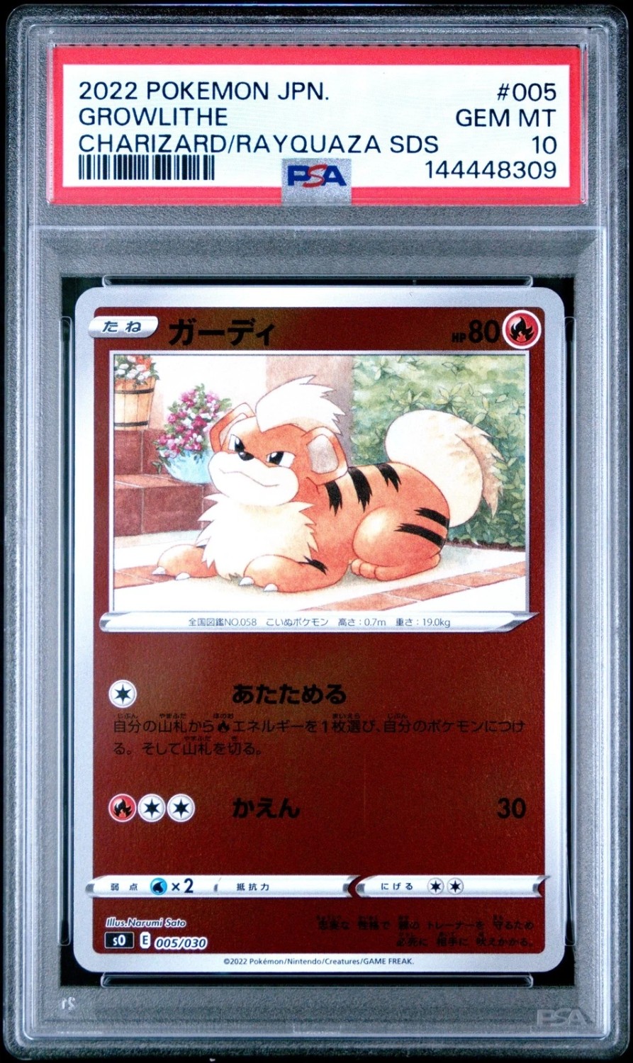 Growlithe