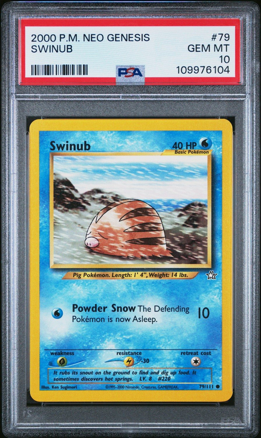 Swinub
