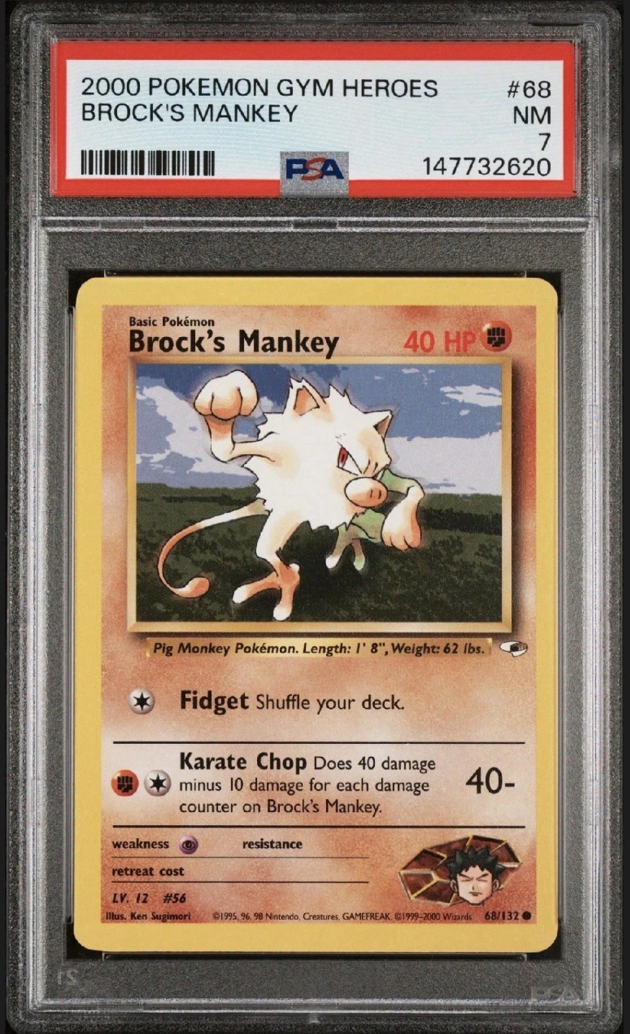 Brock's Mankey