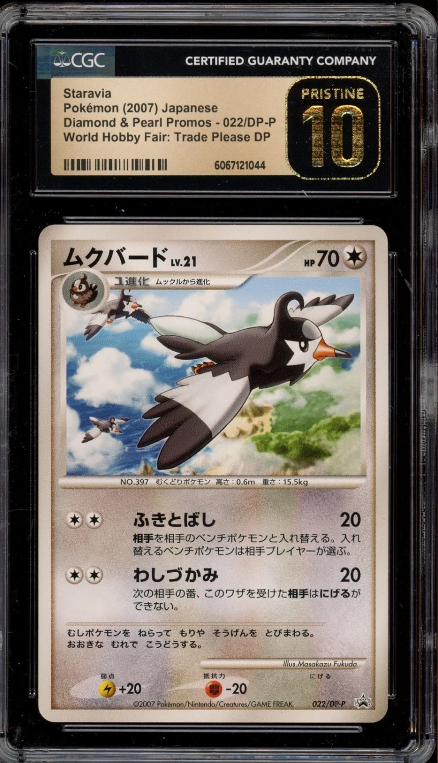 Staravia