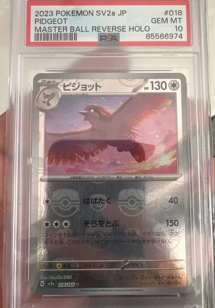 Pidgeot