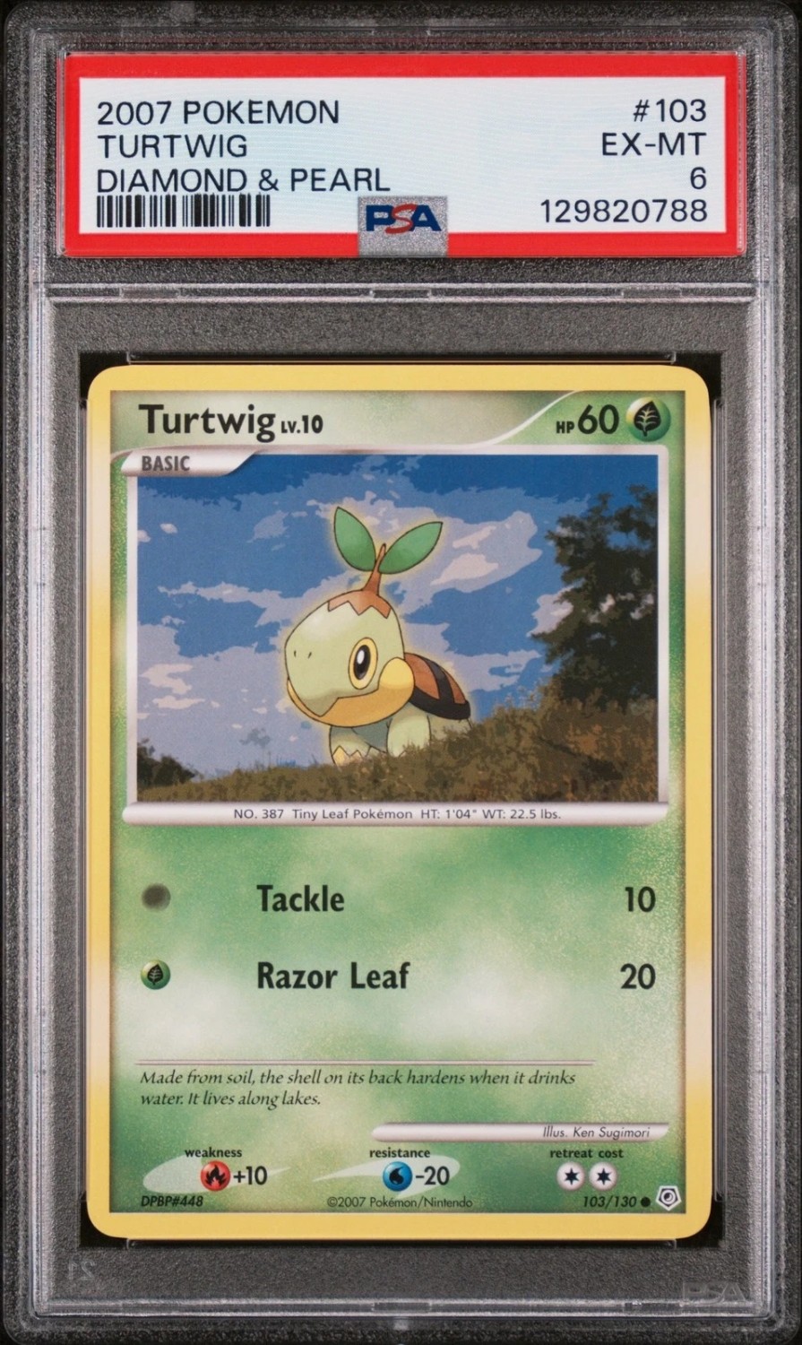 TURTWIG