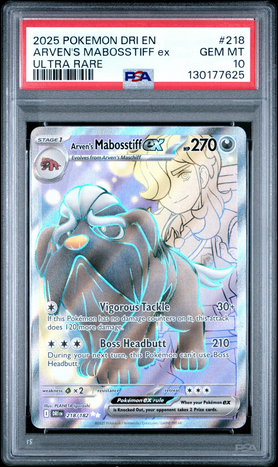 ARVEN'S MABOSSTIFF ex